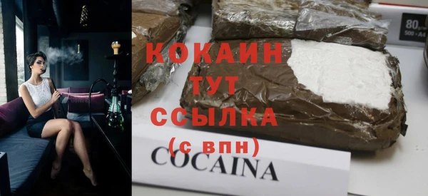 прущие грибы Бугульма