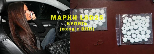 прущие грибы Бугульма