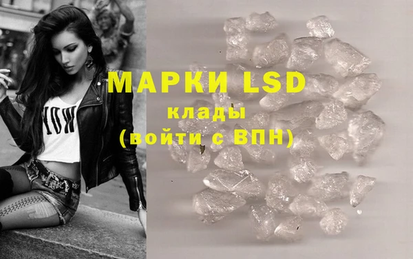 прущие грибы Бугульма