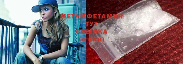 прущие грибы Бугульма
