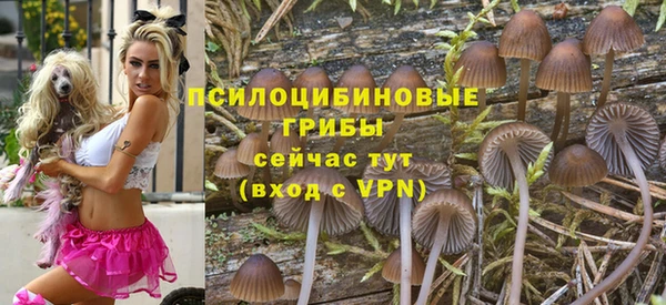 соль курить ск Бородино
