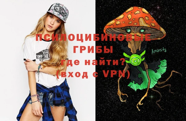 прущие грибы Бугульма
