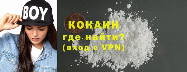 прущие грибы Бугульма