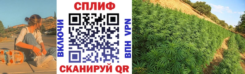 Бошки марихуана сатива  hydra tor  Подольск  продажа наркотиков 